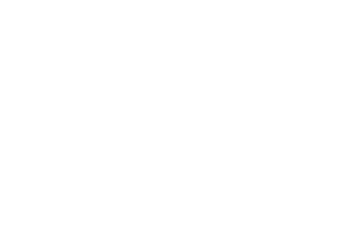 Logo unseres Kunden adhoc networks GmbH